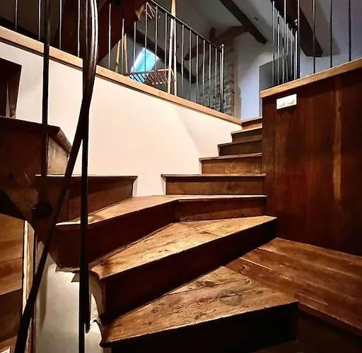 Des Hamy Parc National De Forets Haute Marne Holiday home *