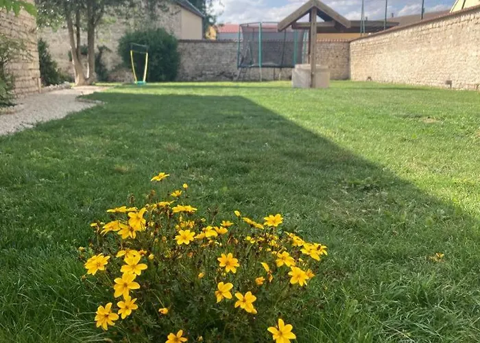 Des Hamy Parc National De Forets Haute Marne * Arc-en-Barrois